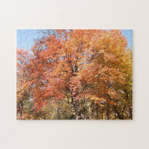 Orange Trees Jigsaw Puzzle