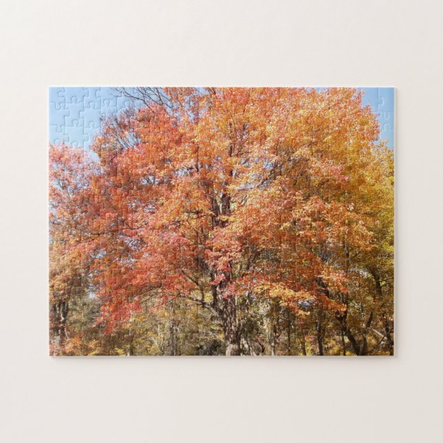 Orange Trees Jigsaw Puzzle (Horizontal)