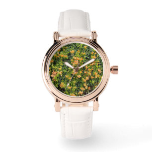 Orange Trumpet Flowers On A Wall, Watch