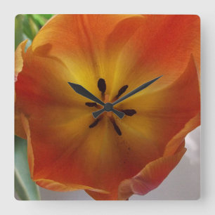 Orange Tulip Bloom Kitchen Square Wall Clock
