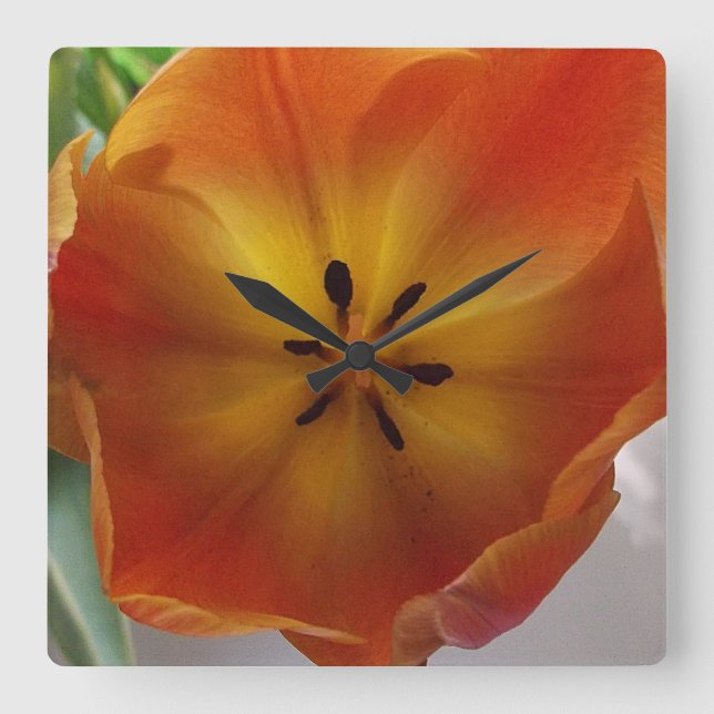 Orange Tulip Bloom Kitchen Square Wall Clock (Front)