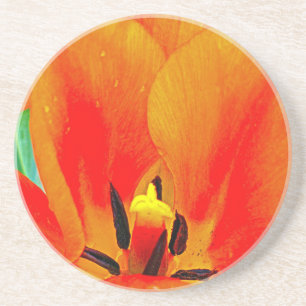 Orange Tulip Coaster