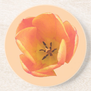Orange Tulip Coasters