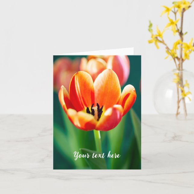 Orange Tulip Greeting Card (Yellow Flower)