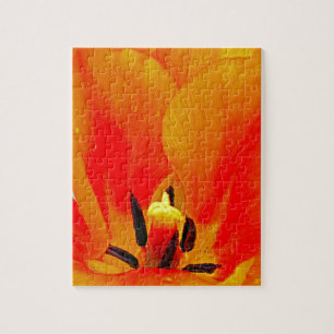 Orange Tulip Jigsaw Puzzle