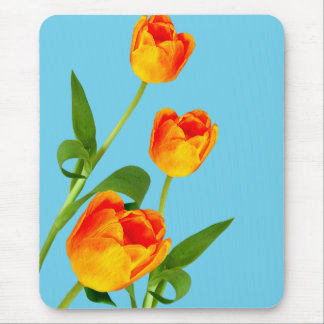 Orange Tulip Mouse Pad