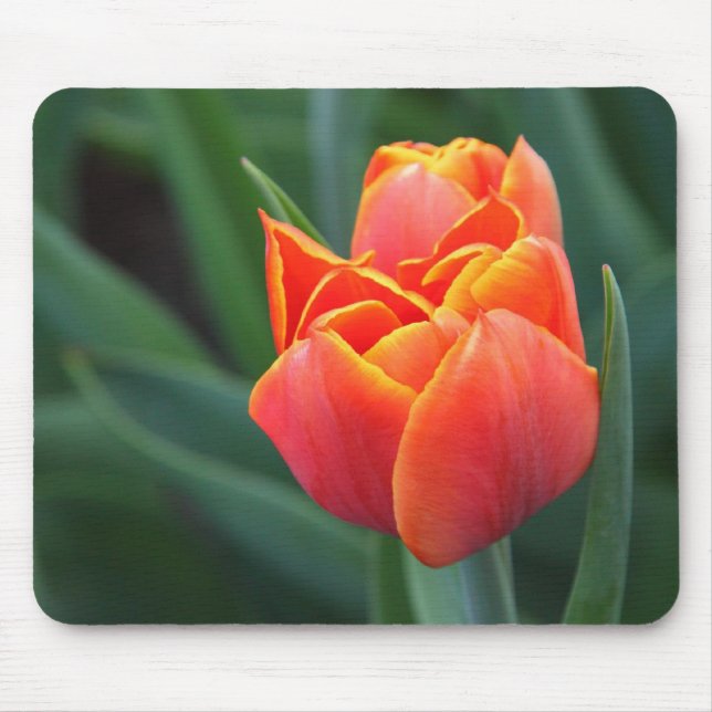 Orange Tulip Mouse Pad (Front)