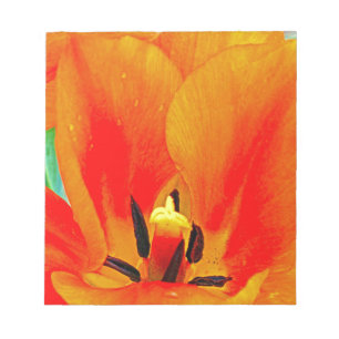 Orange Tulip Notepad