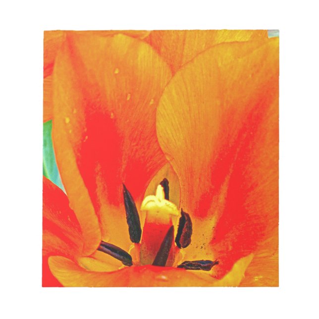 Orange Tulip Notepad (Front)