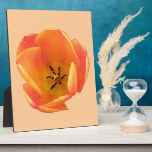 Orange Tulip Plaque