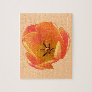 Orange Tulip Puzzle
