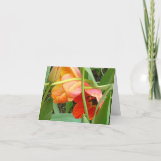 Orange Tulip Sculpture Note Cards