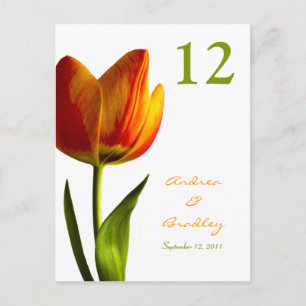 Orange Tulip Table Number Card