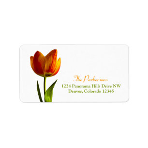 Orange Tulip Wedding Address Labels