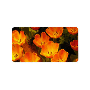 Orange Tulips Address label