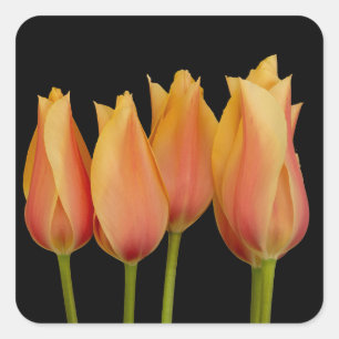 Orange Tulips Floral Stickers