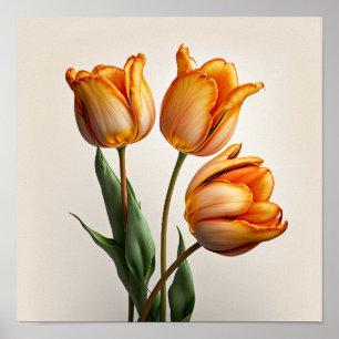 Orange Tulips Flower Art Print Poster