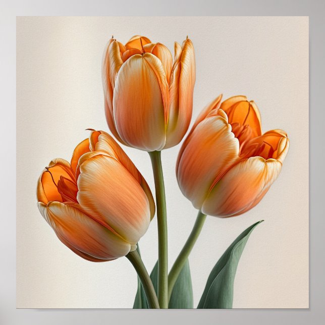 Orange Tulips Flower Art Print Poster (Front)