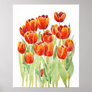 orange tulips flowers watercolor poster