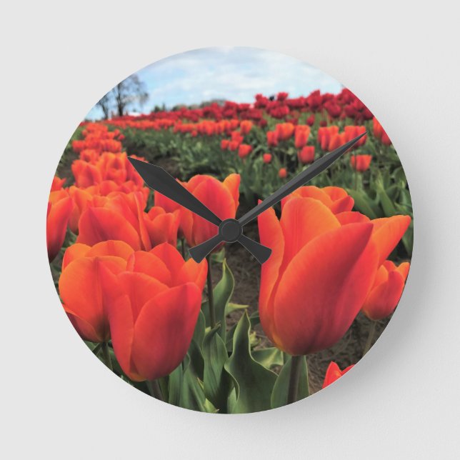 Orange Tulips in a Field, Oregon Round Clock (Front)