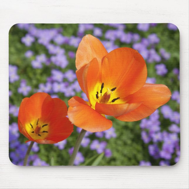 Orange Tulips Mouse Pad (Front)