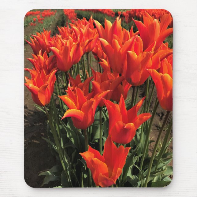 Orange Tulips, Oregon Mouse Pad (Front)