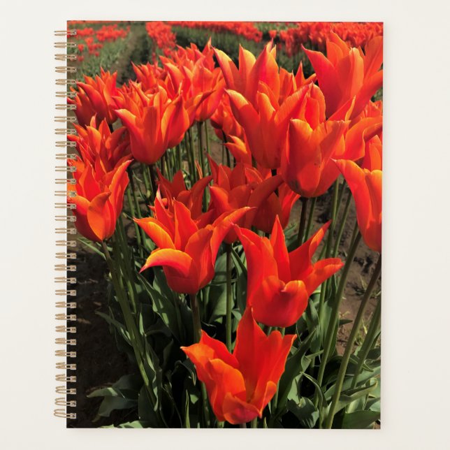 Orange Tulips, Oregon Planner (Front)