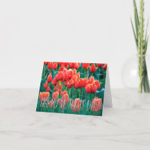 Orange Tulips Photo Happy Mother's Day Card