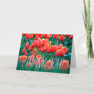 Orange Tulips Photo Thank You Card