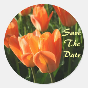 Orange Tulips Save The Date Wedding Sticker