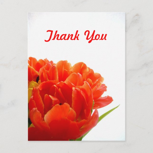Orange Tulips Thank You Postcards (Front)