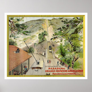 Orange Vintage Label Poster