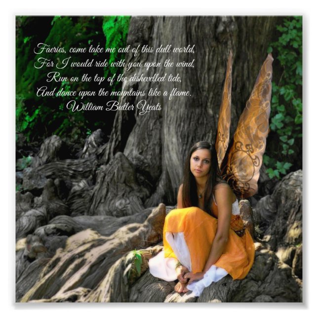 Orange Water Fairy William Butler Yeats Quote Photo Print (Front)