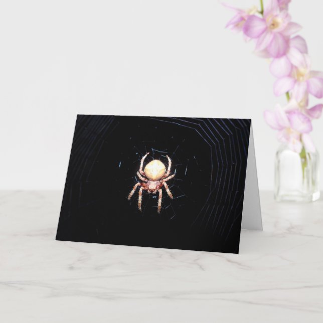 Orange Wheelweaving Spider  Card (Orchid)