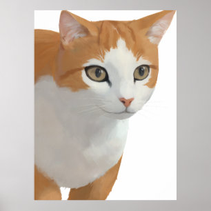 Orange & White Cat Portrait Poster