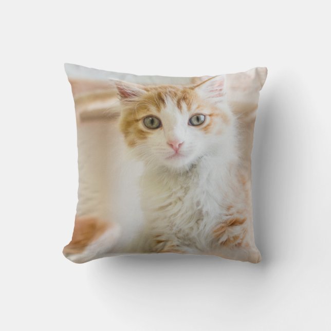 Orange & White Kitten Cushion (Front)