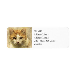 Orange & White Kitty Abstract Watercolor Return Address Label