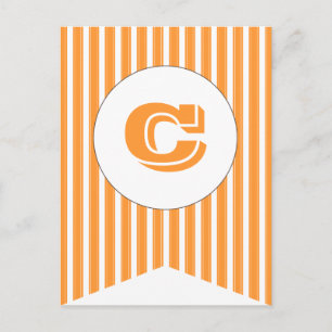 Orange White Party Flag Bunting Banner Post Card