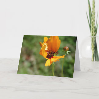 orange wild flower card