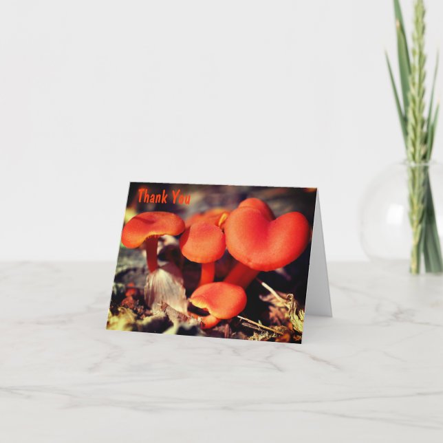 Orange Wild Mushrooms Nature Thank You Card (Front)