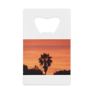 Orange Winter FL sunset