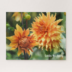 Orange & Yellow Dahlia Garden Flowers RHS Wisley Jigsaw Puzzle