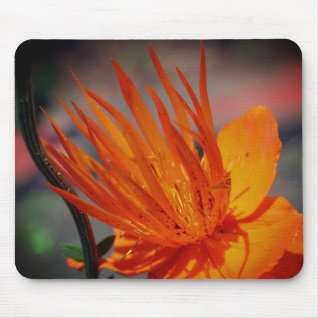 Orange Yellow Flower Petals Mouse Pad (Front)