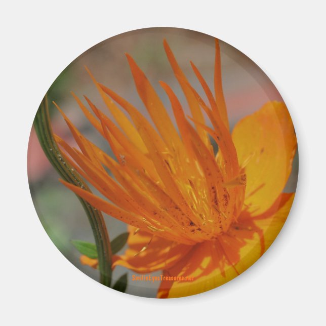 Orange Yellow Flower Photography Magnet (Front)