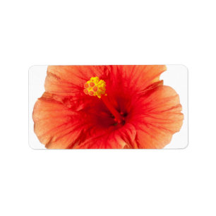Orange Yellow Hibiscus Tropical Flower Hawaiian Label