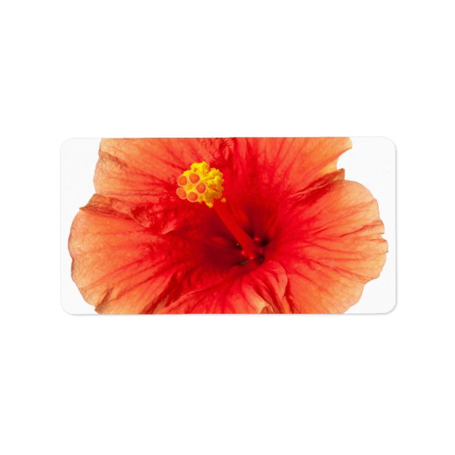Orange Yellow Hibiscus Tropical Flower Hawaiian Label (Front)