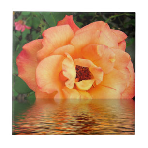 Orange Yellow Rose Flower Tile