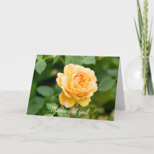 Orange Yellow Rose Thinking Of You Card