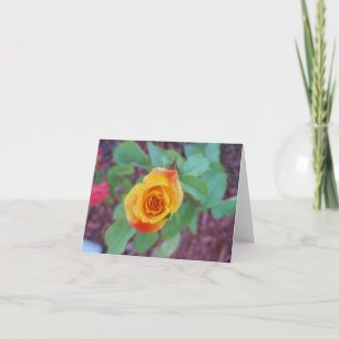 Orange yellow rose with morning dew card