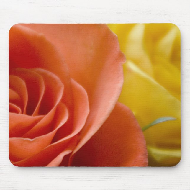 Orange & Yellow Roses Mouse Pad (Front)
